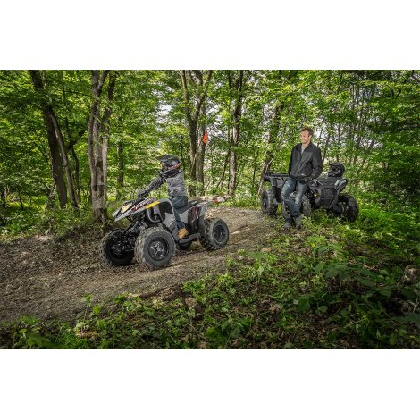 Polaris Phoenix 200 - Avalanche Grey